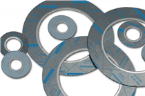 Cut gaskets with inner eyelet 